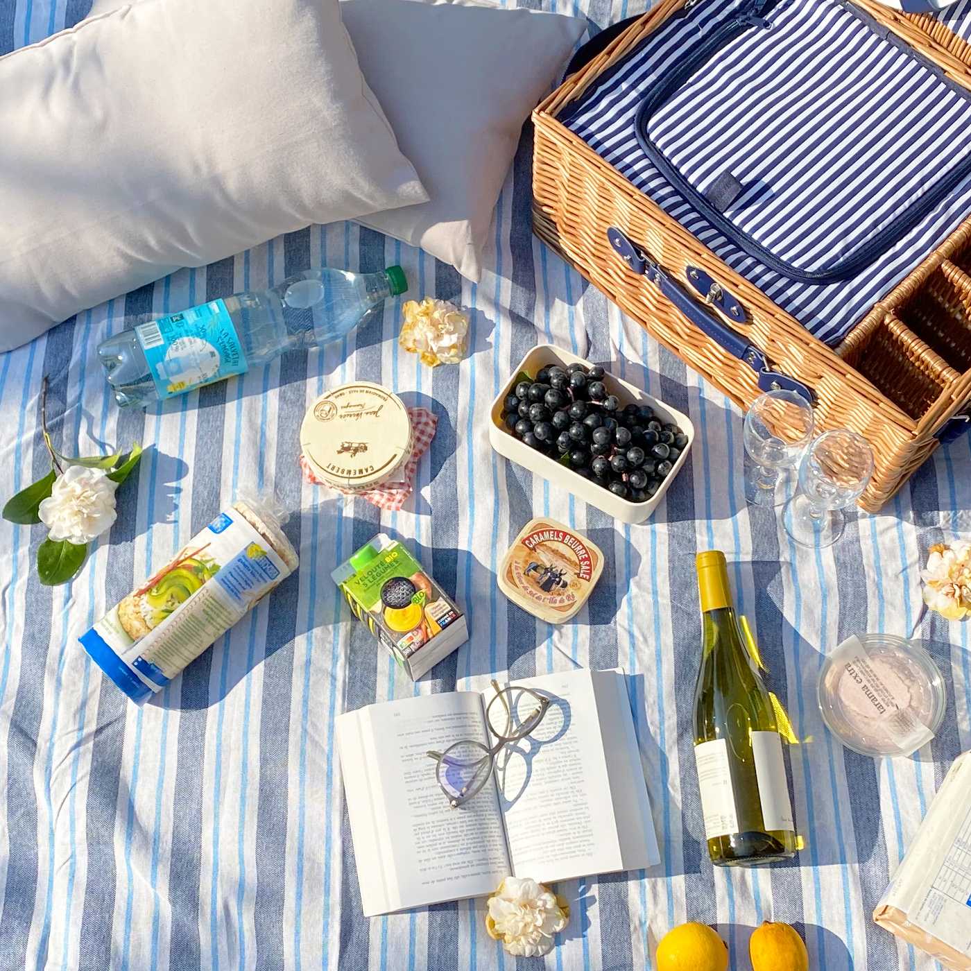 Tovaglia da picnic impermeabile blu e striped bianco (140 x 140 cm)