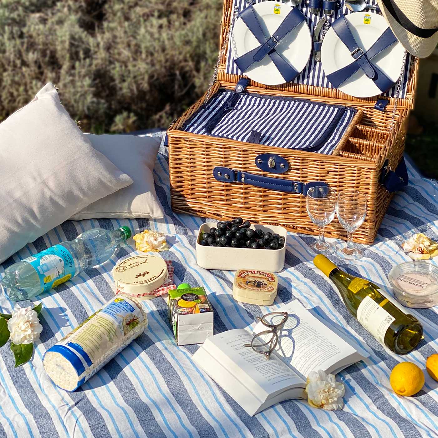 Tovaglia da picnic XXL impermeabile blu e striped bianco (280 x 140 cm)