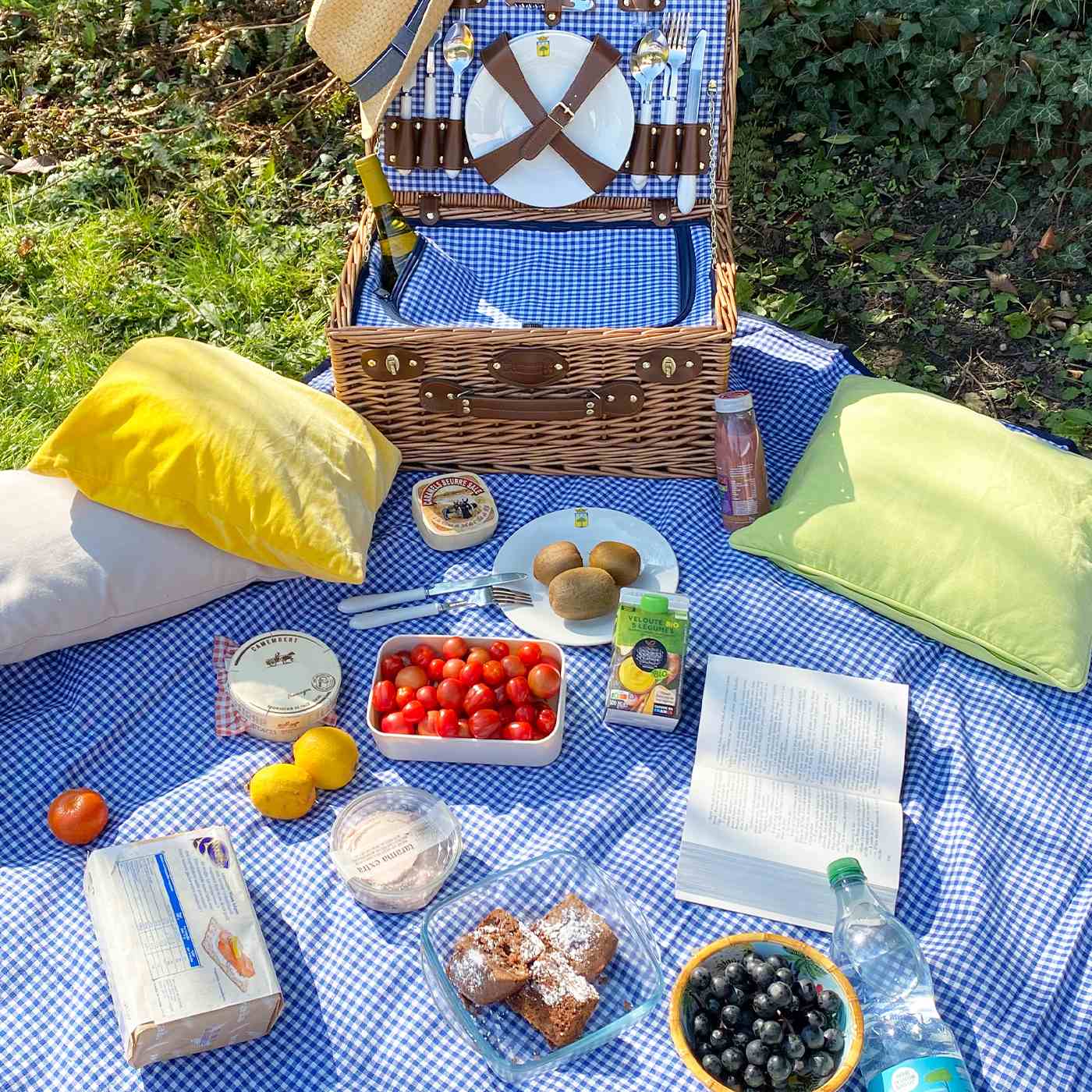 Tovaglia da picnic, gingham blu, con risvolto impermeabile (140 x 140 cm)