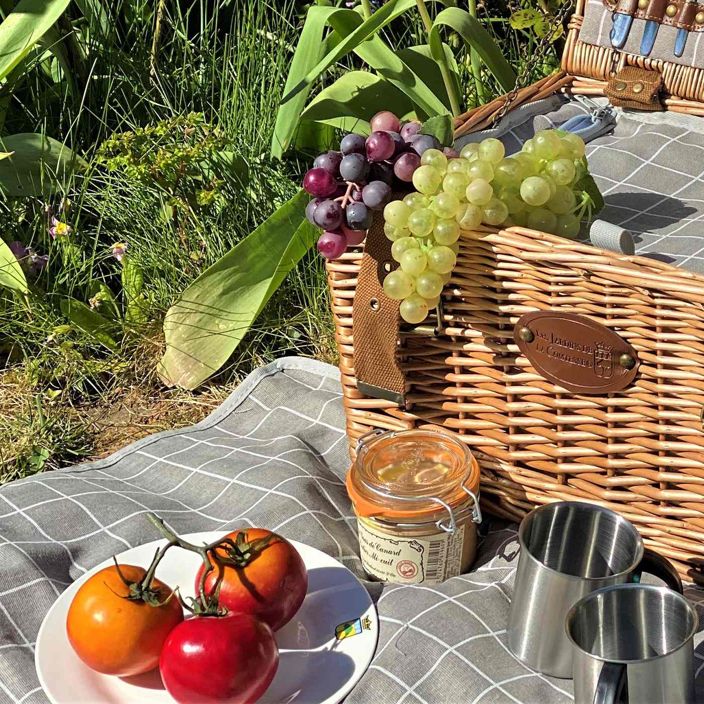 Tovaglia da picnic XXL impermeabile "Concorde" (280 x 140 cm)